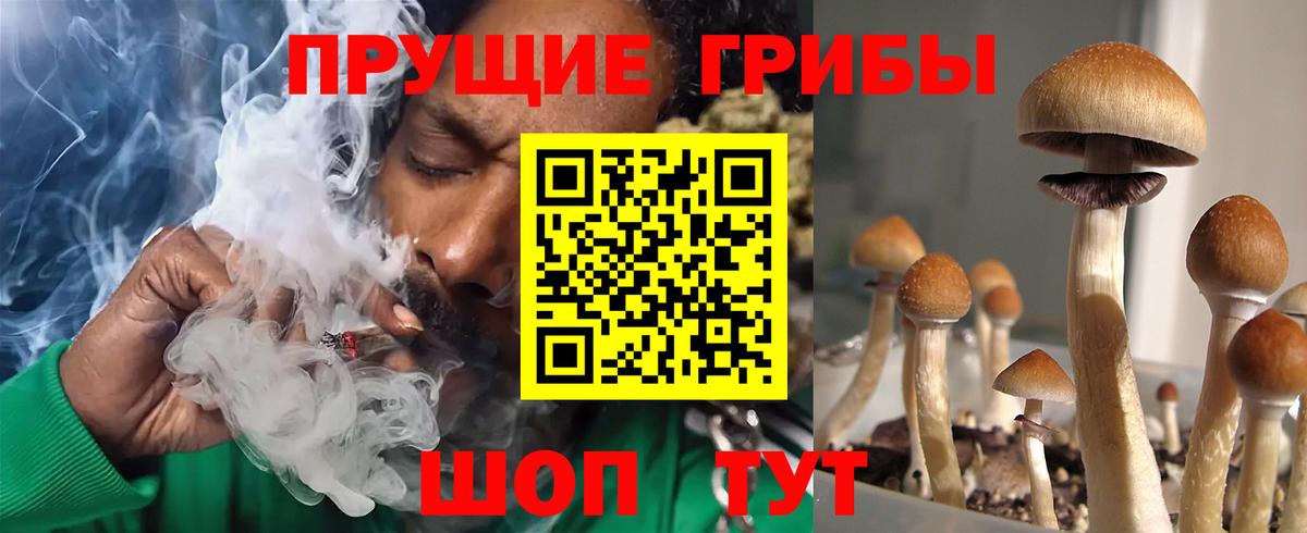 Галлюциногенные грибы прущие грибы Среднеуральск