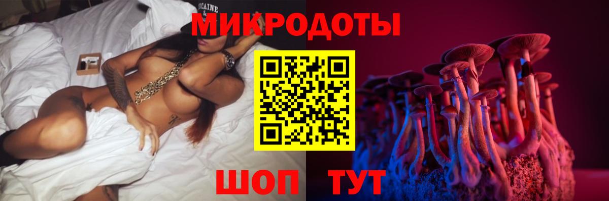 Среднеуральск  Псилоцибиновые грибы Psilocybe  Вход с VPN 